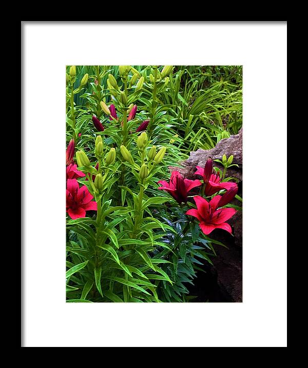 Garden Love - Framed Print