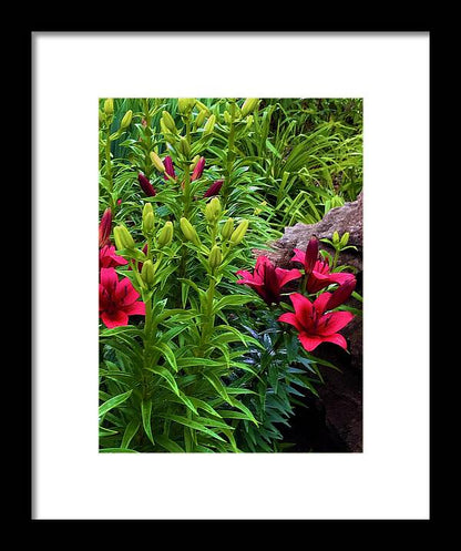Garden Love - Framed Print