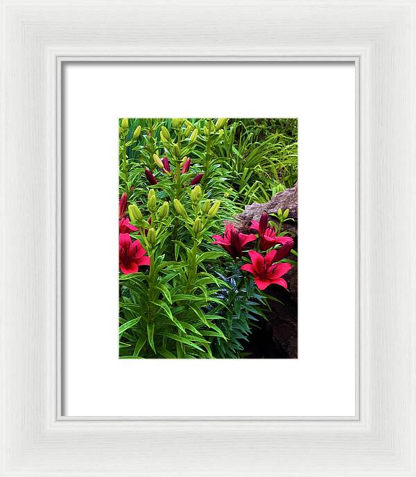 Garden Love - Framed Print