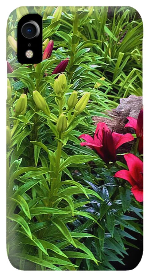 Garden Love - Phone Case