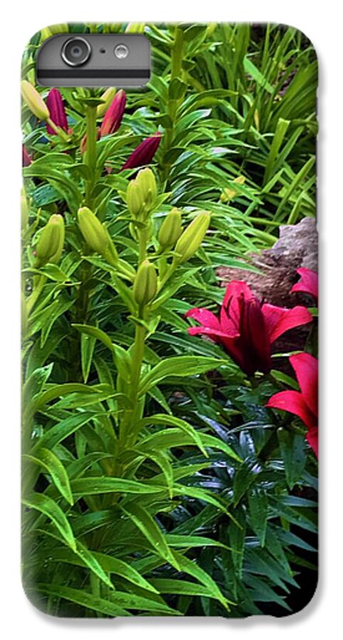 Garden Love - Phone Case