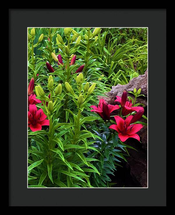 Garden Love - Framed Print