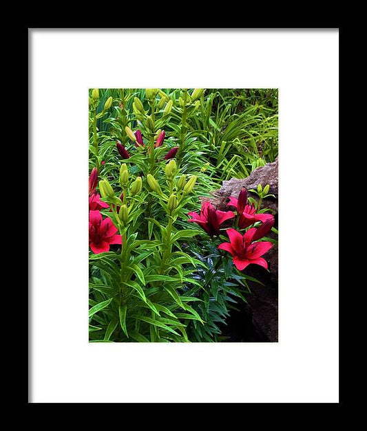Garden Love - Framed Print