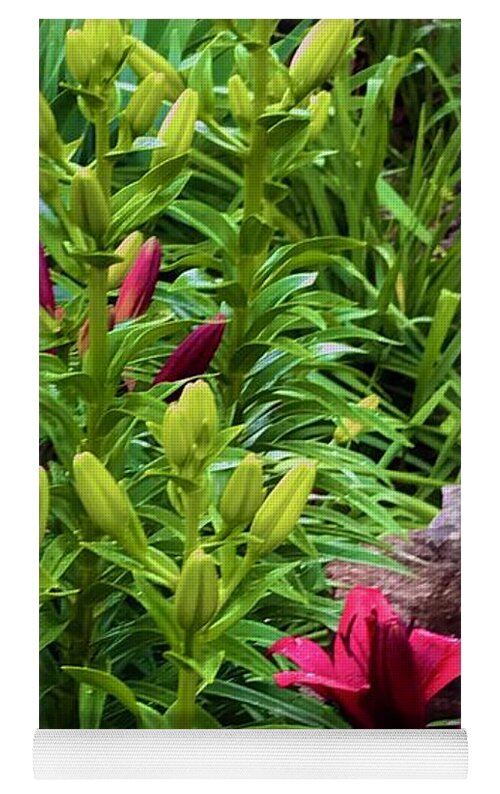Garden Love - Yoga Mat
