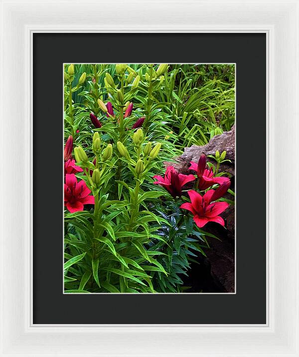 Garden Love - Framed Print