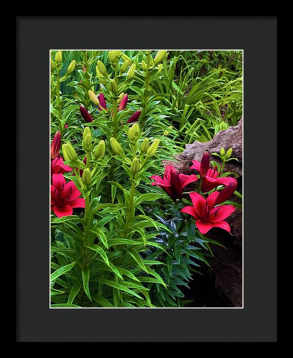 Garden Love - Framed Print