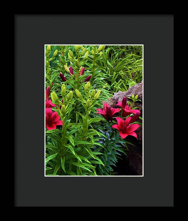 Garden Love - Framed Print