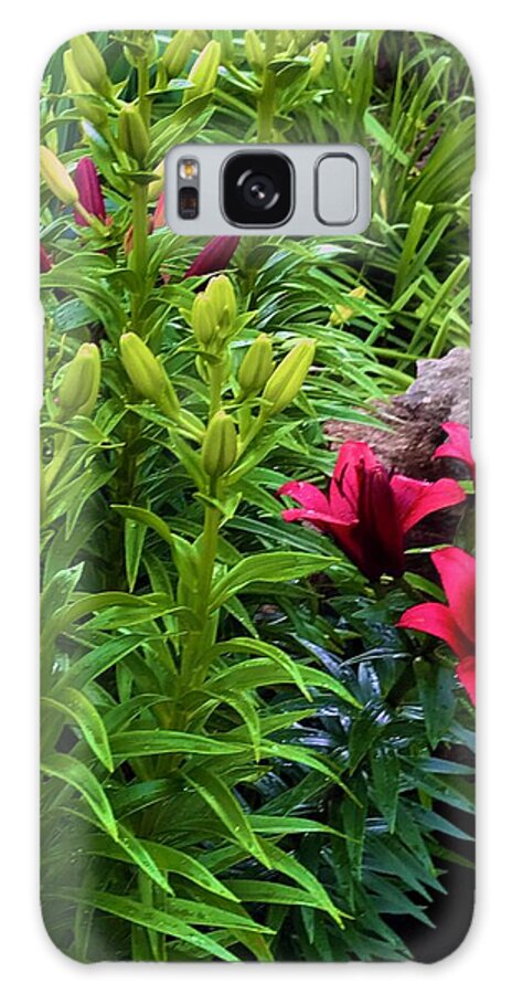 Garden Love - Phone Case