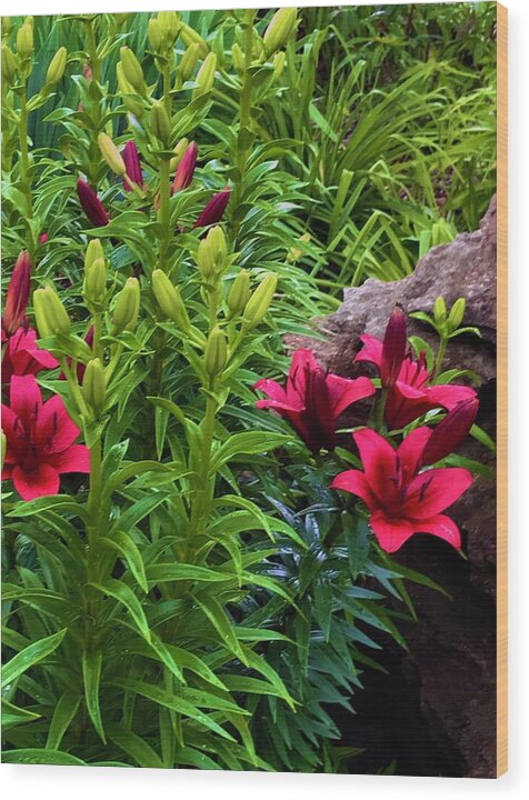 Garden Love - Wood Print