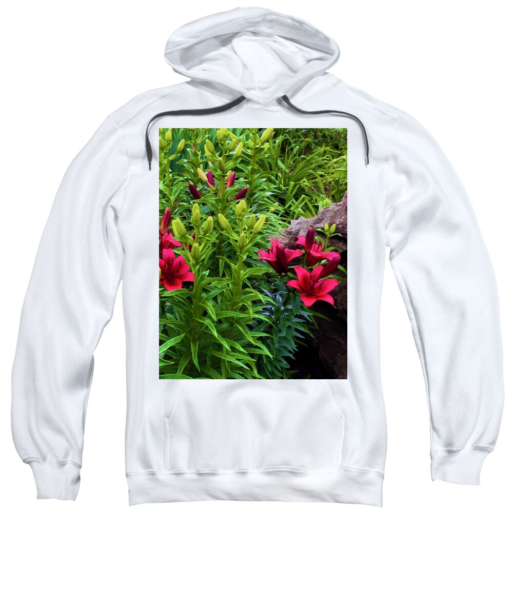 Garden Love - Sweatshirt