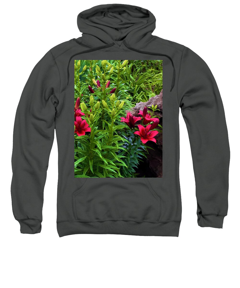 Garden Love - Sweatshirt
