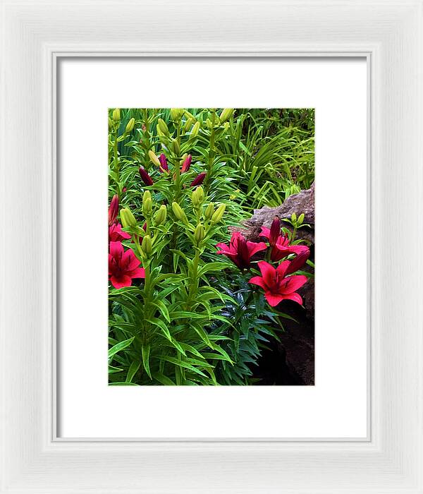 Garden Love - Framed Print