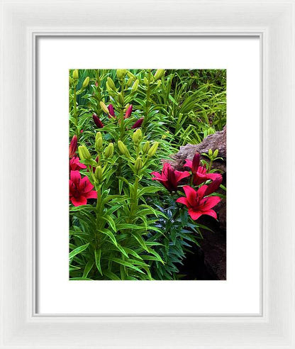 Garden Love - Framed Print