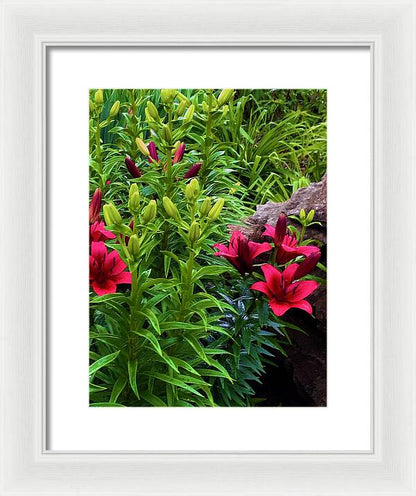Garden Love - Framed Print