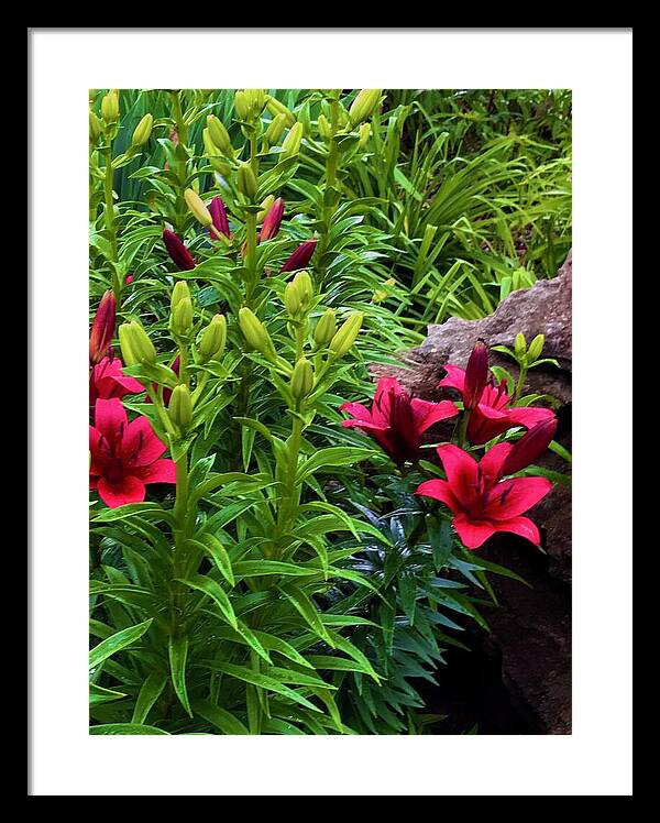 Garden Love - Framed Print
