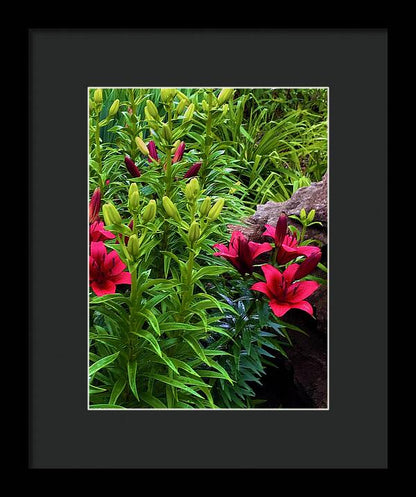 Garden Love - Framed Print