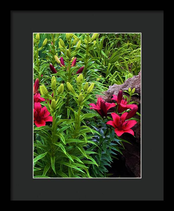 Garden Love - Framed Print