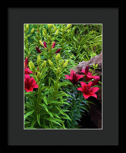 Garden Love - Framed Print