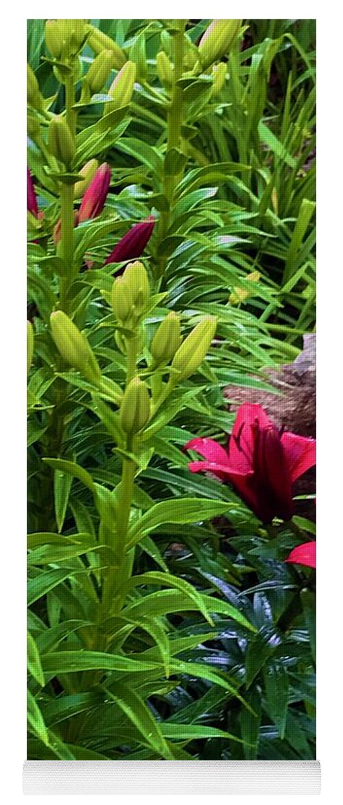 Garden Love - Yoga Mat