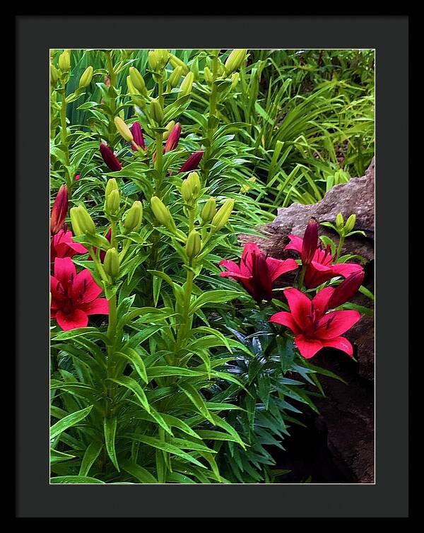 Garden Love - Framed Print