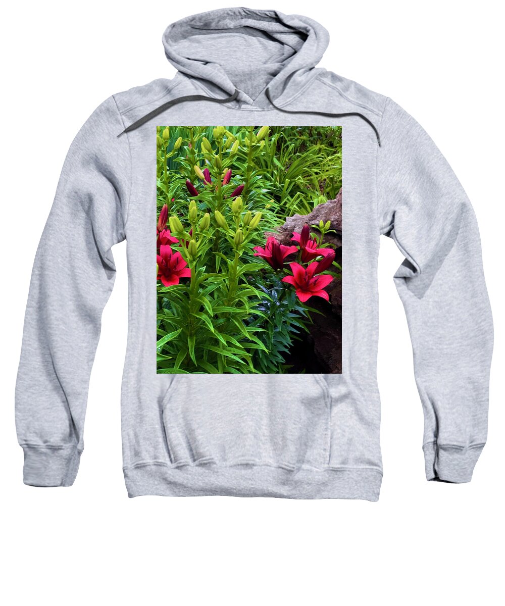 Garden Love - Sweatshirt