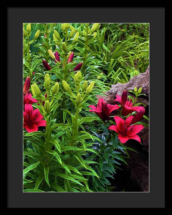Garden Love - Framed Print
