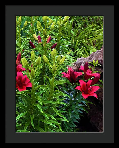 Garden Love - Framed Print
