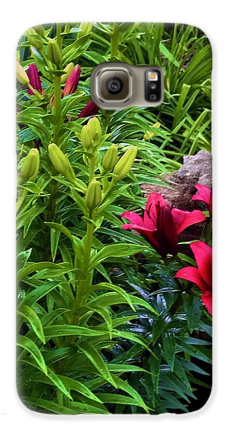Garden Love - Phone Case