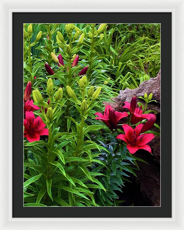 Garden Love - Framed Print