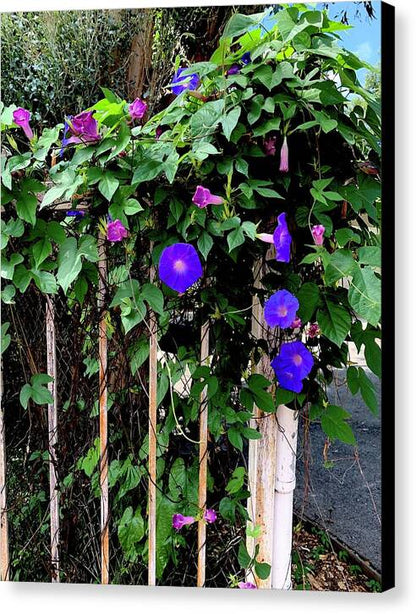 LA Neighbor - Canvas Print