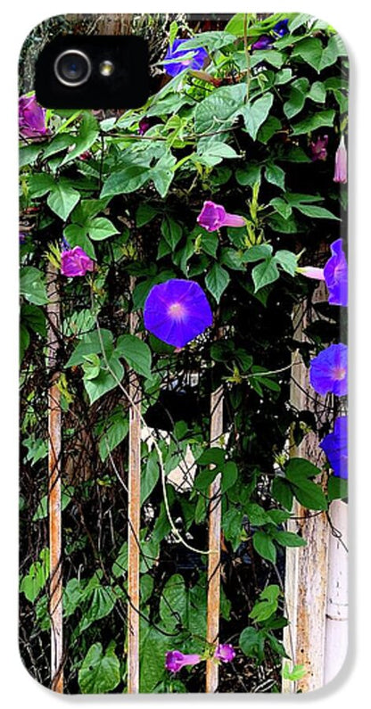 LA Neighbor - Phone Case