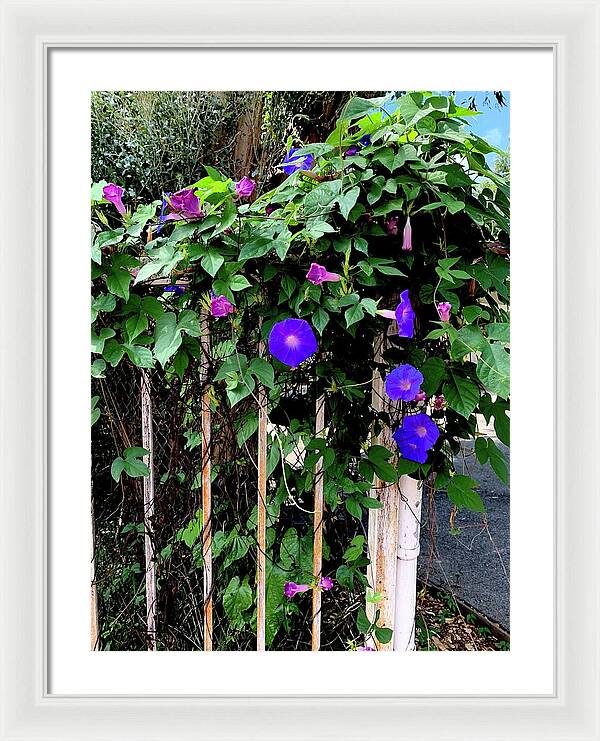 LA Neighbor - Framed Print