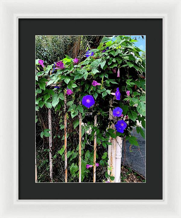 LA Neighbor - Framed Print