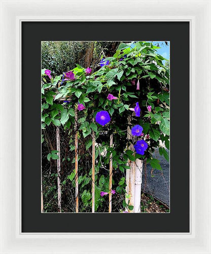 LA Neighbor - Framed Print