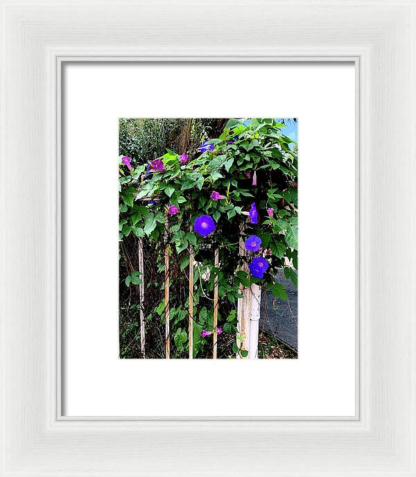 LA Neighbor - Framed Print