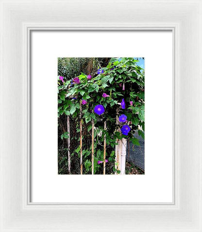 LA Neighbor - Framed Print