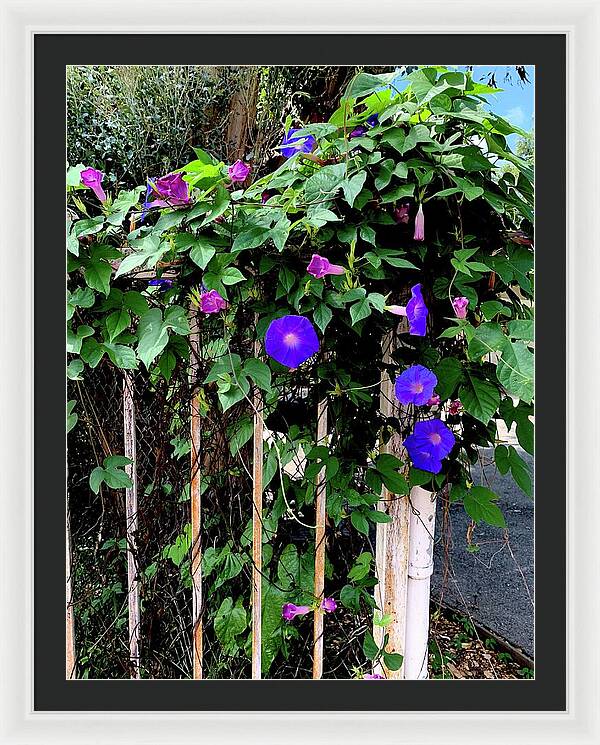 LA Neighbor - Framed Print