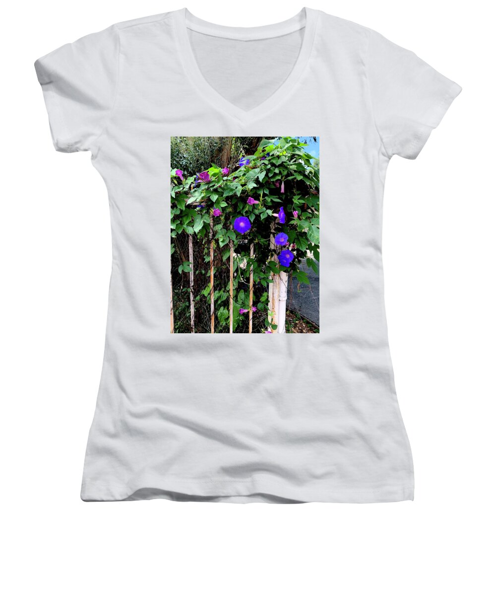LA Neighbor - Women's V-Neck
