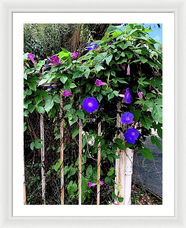 LA Neighbor - Framed Print