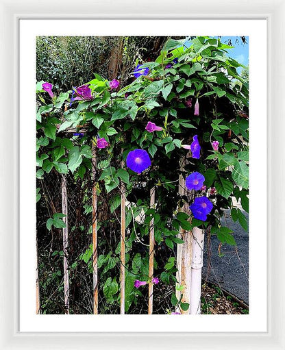 LA Neighbor - Framed Print