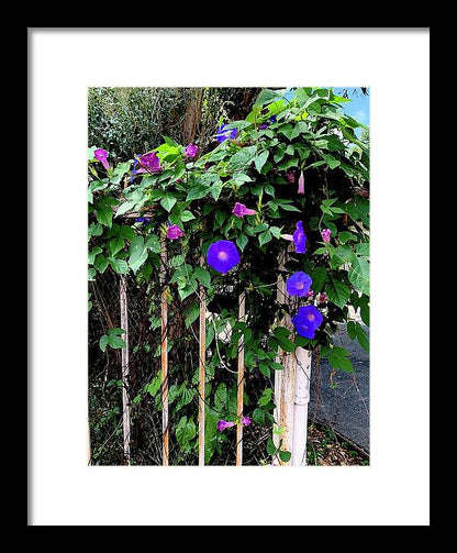LA Neighbor - Framed Print
