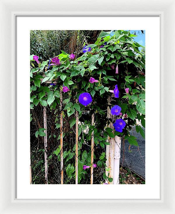 LA Neighbor - Framed Print