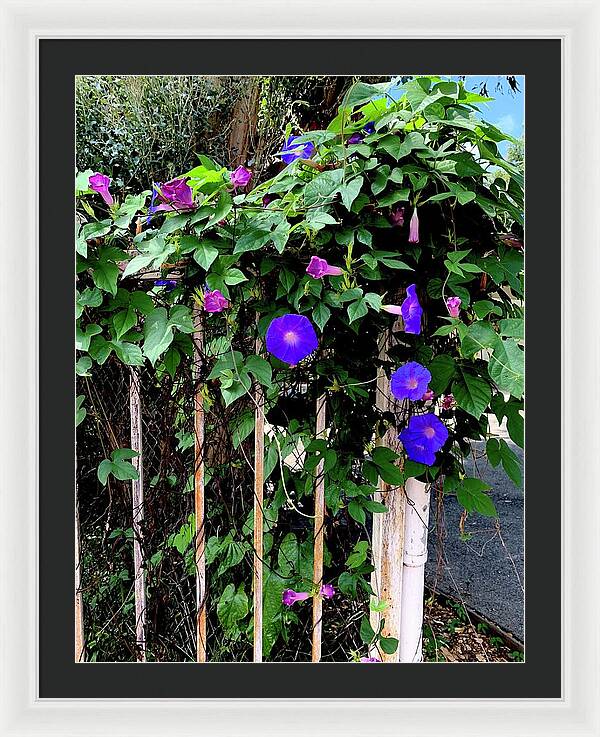 LA Neighbor - Framed Print