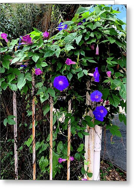 LA Neighbor - Greeting Card