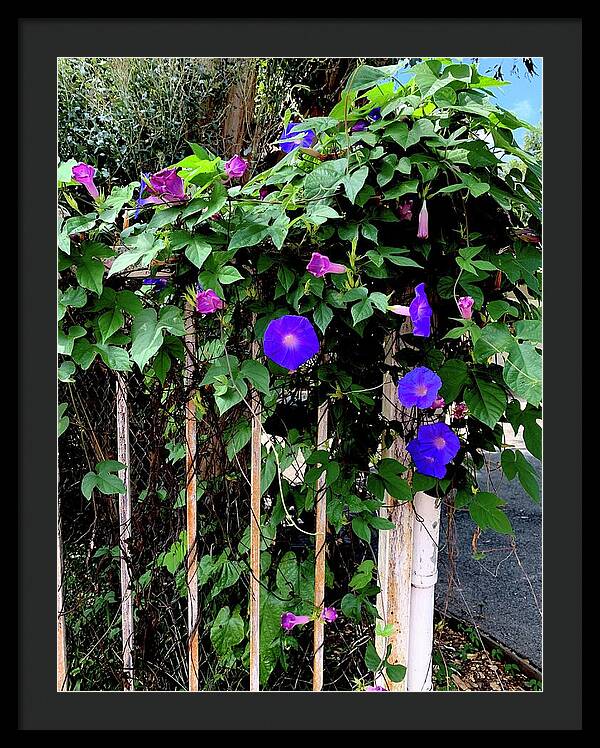 LA Neighbor - Framed Print