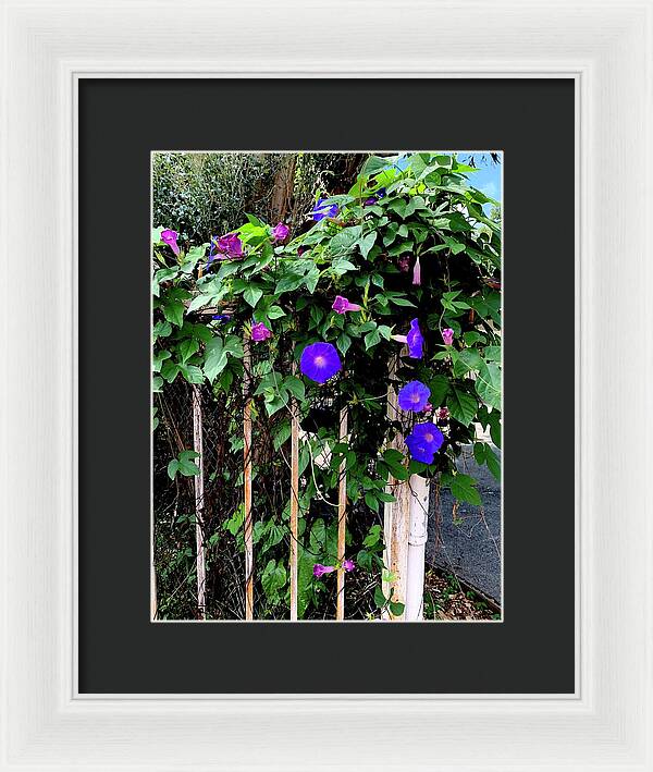 LA Neighbor - Framed Print