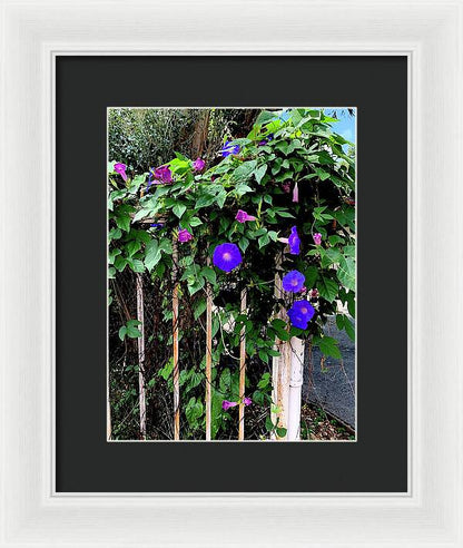 LA Neighbor - Framed Print