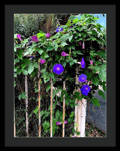 LA Neighbor - Framed Print