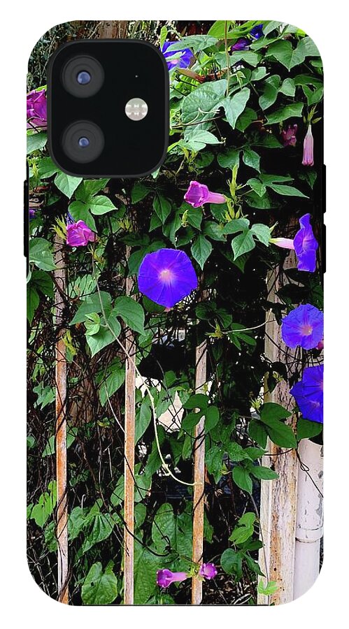 LA Neighbor - Phone Case