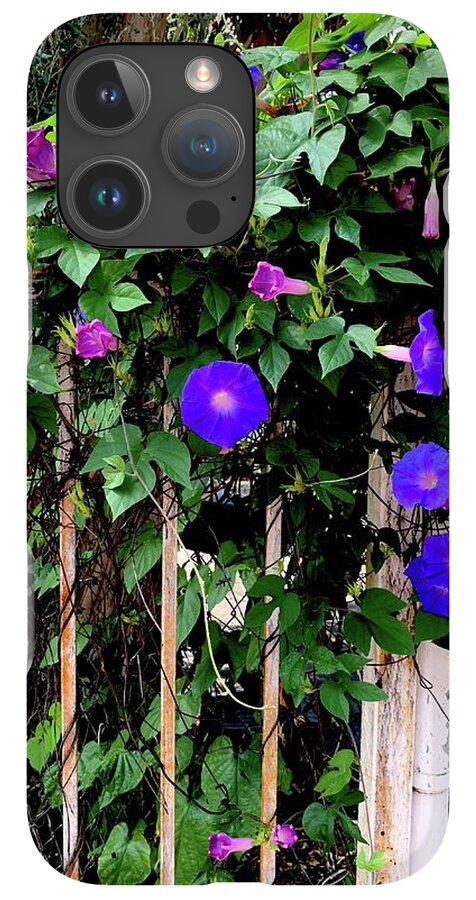 LA Neighbor - Phone Case